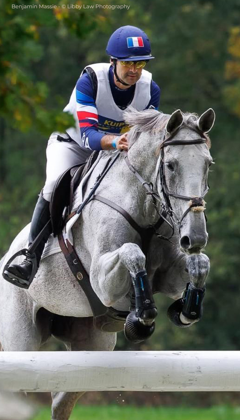 Soins naturels pour animaux